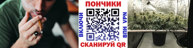 Конопля марихуана  Мелеуз 